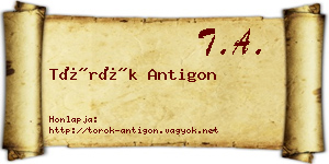 Török Antigon névjegykártya